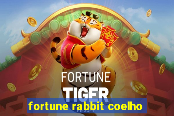 fortune rabbit coelho